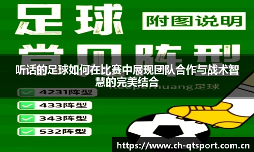 听话的足球如何在比赛中展现团队合作与战术智慧的完美结合